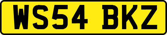 WS54BKZ