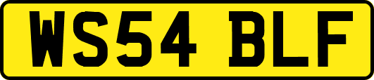 WS54BLF