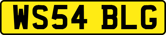 WS54BLG