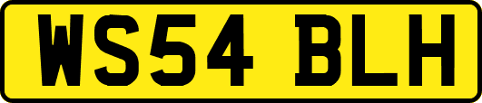 WS54BLH