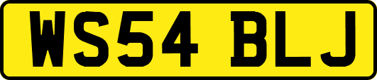 WS54BLJ