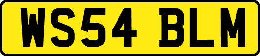 WS54BLM