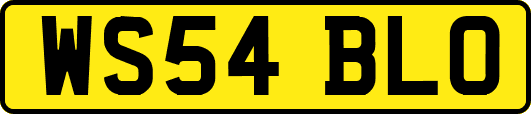 WS54BLO