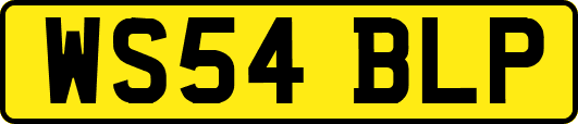 WS54BLP
