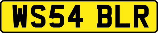 WS54BLR