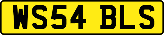 WS54BLS