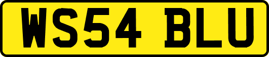 WS54BLU