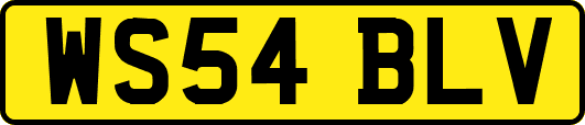 WS54BLV