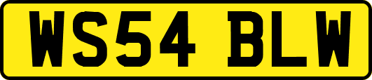 WS54BLW