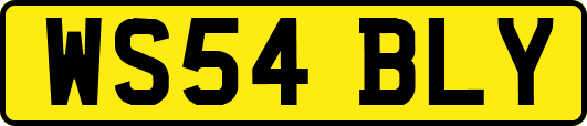 WS54BLY