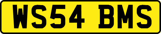 WS54BMS