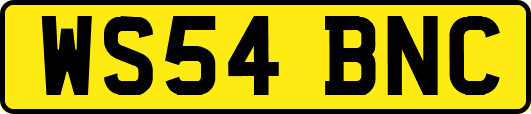 WS54BNC