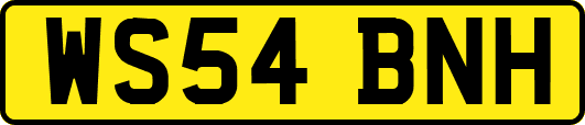 WS54BNH