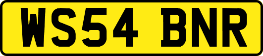 WS54BNR