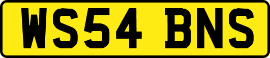 WS54BNS