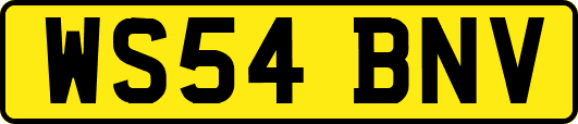 WS54BNV