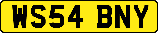WS54BNY