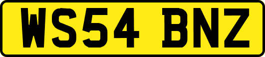 WS54BNZ