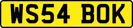 WS54BOK