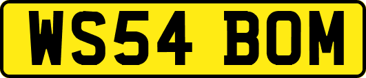 WS54BOM