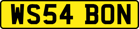 WS54BON