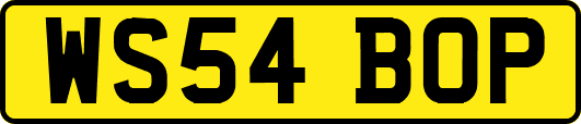 WS54BOP