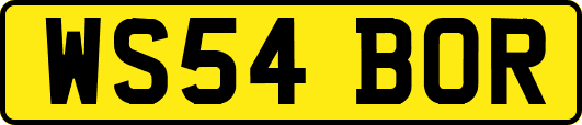 WS54BOR