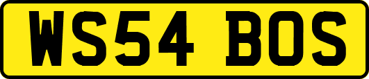 WS54BOS