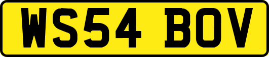 WS54BOV