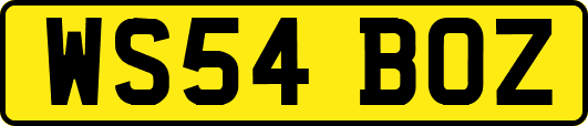 WS54BOZ