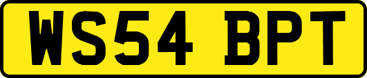 WS54BPT