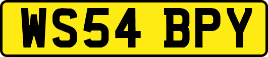 WS54BPY
