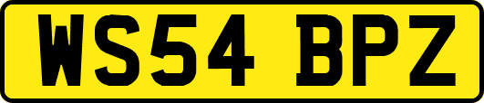 WS54BPZ