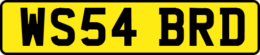 WS54BRD
