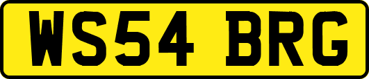 WS54BRG