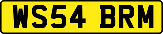 WS54BRM