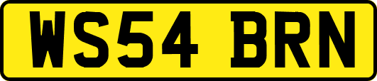 WS54BRN
