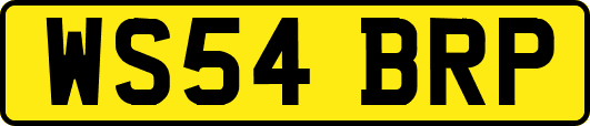 WS54BRP