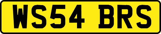 WS54BRS