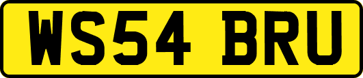 WS54BRU