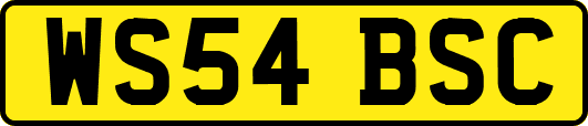 WS54BSC