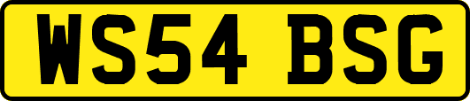 WS54BSG