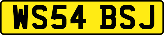 WS54BSJ
