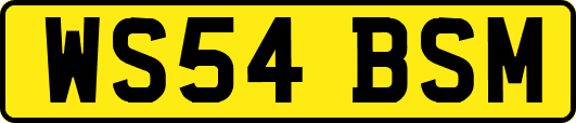 WS54BSM