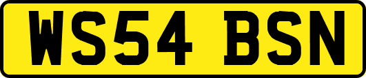 WS54BSN