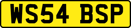 WS54BSP