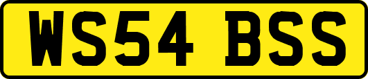 WS54BSS