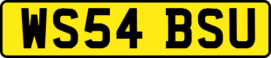 WS54BSU