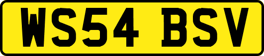 WS54BSV