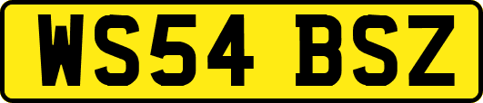 WS54BSZ